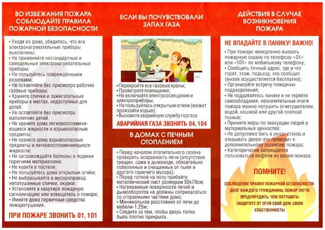 foto 2025 07 08 13 34 6